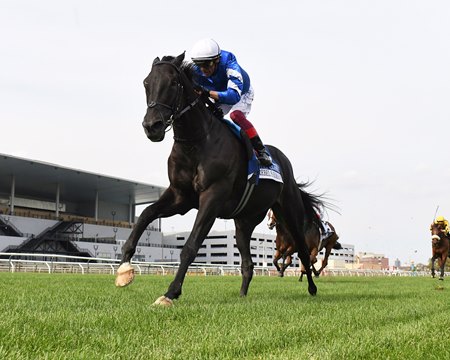 Rebel's Romance wins the Joe Hirsch Turf Classic Stakes at Aqueduct Racetrack