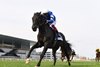 Rebel&#39;s Romance wins the 2025 Joe Hirsch Turf Classic Stakes at Aqueduct Racetrack
