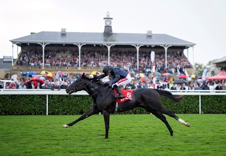 Puerto Rico wins the Champagne Stakes at Doncaster Racecourse