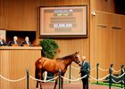 Hip 1197, 2025 Keeneland September Yearling Sale