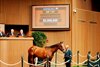 Hip 1197, 2025 Keeneland September Yearling Sale