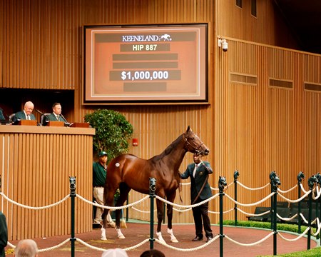 The Night This Time filly, consigned as Hip 887 in the ring