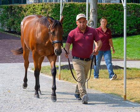 Hip 5, an Uncle Mo full sister to Seismic Beauty, consigned by Scott Mallory at Keeneland September