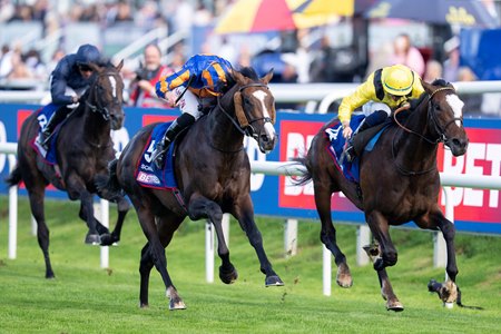 Scandinavia (left) defeats Rahiebb by a neck in the 2025 St. Leger Stakes at Doncaster Racecourse