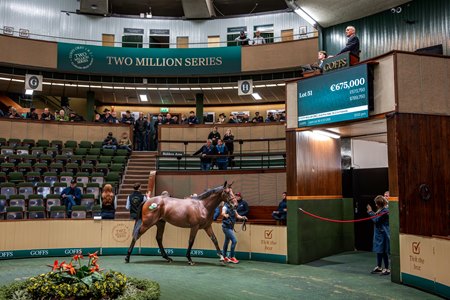 The Blue Point colt, consigned as Lot 51 in the ring