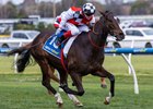 Sepals wins the 2025 Sir Rupert Clarke Stakes at Caulfield Racecourse
ridden by Craig Williams and trained by Cliff Brown