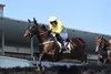 Swore wins the 2025 Lonesome Glory Handicap at Aqueduct Racetrack