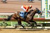 Explora, Maiden Win, Del Mar, August 17 2025