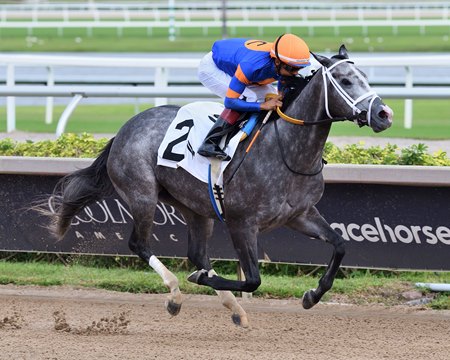 Haulin Ice wins the Princess Rooney Stakes at Gulfstream Park