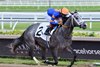 Haulin Ice wins the 2025 Princess Rooney Stakes at Gulfstream Park