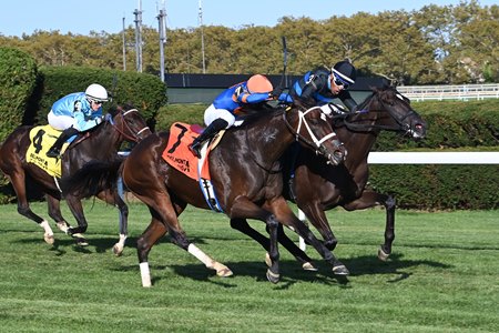 Ready for Candy wins the Winter Memories Stakes at Aqueduct Racetrack