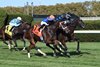 Ready for Candy wins the 2025 Winter Memories Stakes at Aqueduct Racetrack