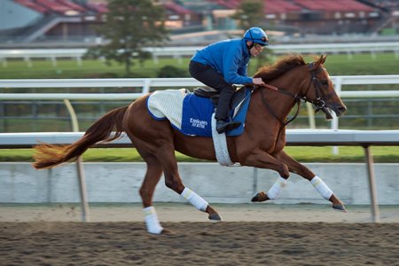 Notable Speech galloping at Woodbine