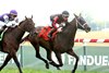 Fionn wins the 2025 Dueling Grounds Oaks Invitational Stakes at Kentucky Downs