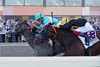 Clicquot ridden by Jockey Irad Ortiz, Jr. won the $1,000,000 Grade 1 Cotillion Stakes at Parx Racing in Bensalem, Pennsylvania on September 20, 2025. Photo By Ryan Denver/EQUI-PHOTO
