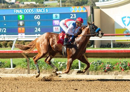 Boyd romps home in his debut at Del Mar