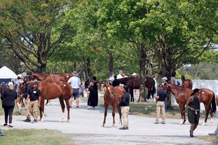 Keeneland September Yearling Sale