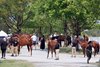 Scenics, 2025 Keeneland September Yearling Sale