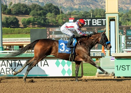 Cavalieri wins the Zenyatta Stakes at Santa Anita Park