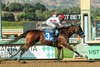 Speedway Stables&#39; Cavalieri and jockey Juan Hernandez win the Grade II, $200,000 Zenyatta Stakes  Sunday, September 28, 2025 at Santa Anita Park, Arcadia, CA.  
Benoit Photo