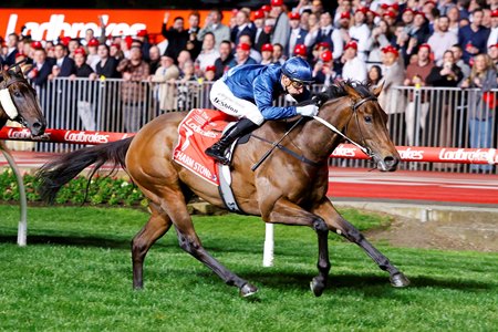 Charm Stone wins the Manikato Stakes at Moonee Valley Racecourse