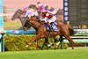 Win Carnelian winning 2025 Sprinters Stakes, ridden by Kosei Miura, trained by Yuichi Shikato and owned by Win Co., Ltd. at Nakayama Race Course on September 28, 2025. Photo by Katsumi Saito