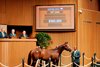Hip 2469, buyer Steve Asmussen, 2025 Keeneland September Yearling Sale