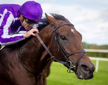 Delacroix wins the Irish Champions Stakes at Leopardstown Racecourse