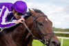 Delacroix and Christophe Soumillon winning the Irish Champion Stakes Gr.1.
Irish Champions Weekend.
Leopardstown.
Photo: Patrick McCann/Racing Post
13.09.2028