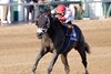 Bentornato wins the 2025 Louisville Thoroughbred Society Stakes at Churchill Downs