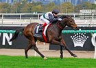 Mr Brightside wins the 2025 Makybe Diva Stakes at Flemington
ridden by Craig Williams and trained by Ben, Will &amp; JD Hayes