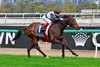 Mr Brightside wins the 2025 Makybe Diva Stakes at Flemington
ridden by Craig Williams and trained by Ben, Will &amp; JD Hayes