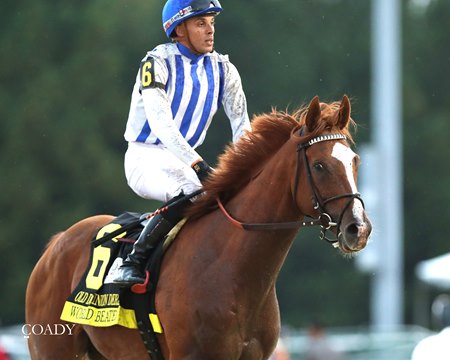 World Beater and Jaime Torres after winning the Old Dominion Stakes at Colonial Downs