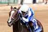 Taken by the Wind wins the 2025 Pocahontas Stakes at Churchill Downs