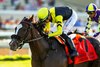 Gimme a Nother and jockey Juan Hernandez win the Grade II, $250,000 John C. Mabee Stakes, Saturday, September 6, 2025 at Del Mar Thoroughbred Club, Del Mar CA.
&#169; BENOIT PHOTO