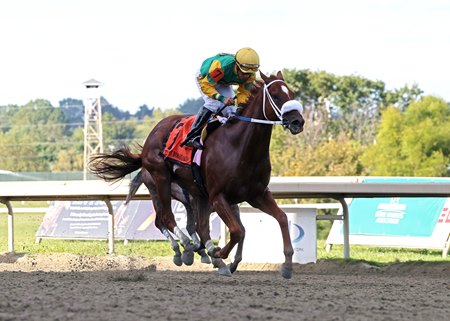 Mad House wins the Gallant Bob Stakes at Parx Racing