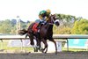 Mad House #7 with Paco Lopez riding won the $400,000 Grade II Gallant Bob Stakes  at Parx Racing in Bensalem, PA on Saturday September 20, 2025.  Photo by Taylor Ejdys/EQUI-PHOTO