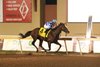 Bracket Buster wins Grade 3 Oklahoma Derby at Remington Park on Sunday, September 28, 2025. Jockey Luis Saez was up.
Credit: Dustin Orona Photography/Remington Park