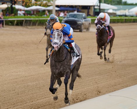 Haulin Ice Named 2025 Arkansas-Bred Horse of the Year