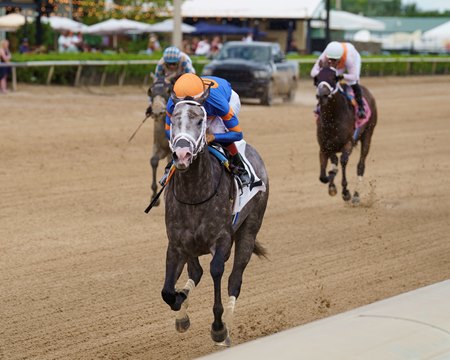 Haulin Ice becomes the leading Arkansas-bred money earner with her victory in the 2025 Princess Rooney Stakes at Gulfstream Park