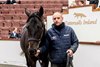 2025 Tattersalls Ireland September Yearling Sale, Lot 228