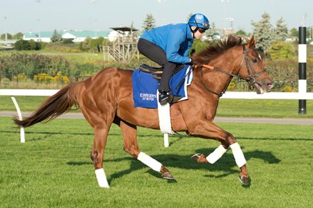 Notable Speech gallops Sept. 11 at Woodbine