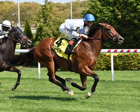 Whiskey Decision wins the 2025 Athenia Stakes at Aqueduct Racetrack