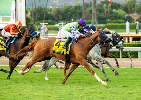 Innovative (outside) narrowly defeats Lee's Baby Girl (gray) and Warming in the John C. Harris Stakes at Santa Anita Park