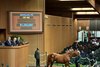 Hip 480, a Not This Time colt, sells for $1.35 million at the Keeneland September Yearling Sale