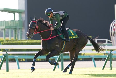 Lucky Sweynesse trains Sept. 24 at Nakayama Racecourse