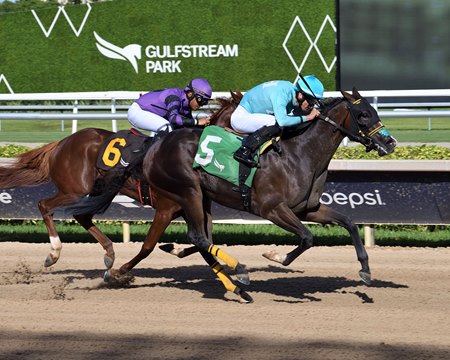 Willow Case wins the Hallandale Beach Stakes at Gulfstream Park