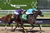 Willow Case wins the 2025 Hallandale Beach Stakes at Gulfstream Park