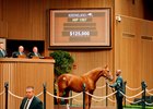 Hip 1597, 2025 Keeneland September Yearling Sale
