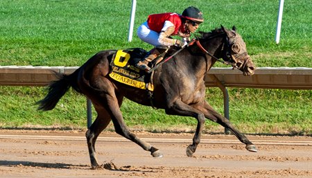 Regaled wins the Delaware Handicap at Delaware Park 